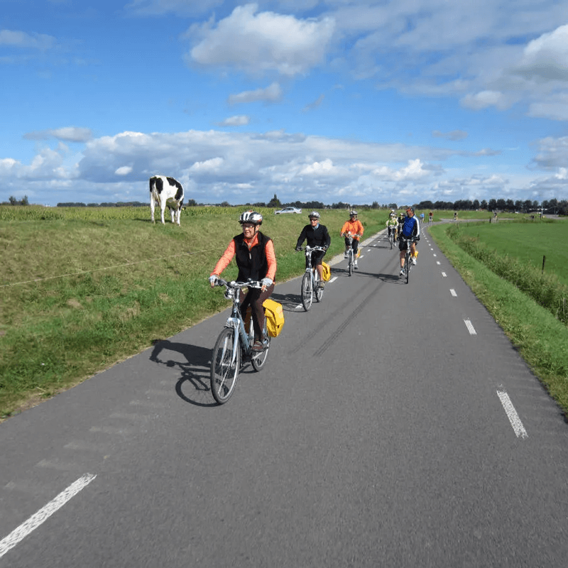 Webdesign Beverwijk, Project Direct, Timo van Tilburg, Snel een Webdesigner Beverwijk, Website laten maken Beverwijk, Website laten bouwen Beverwijk, SEO Beverwijk, SEA Beverwijk, Online Marketing Beverwijk, Wordpress Beverwijk, Zoekmachine optimalisatie Beverwijk
